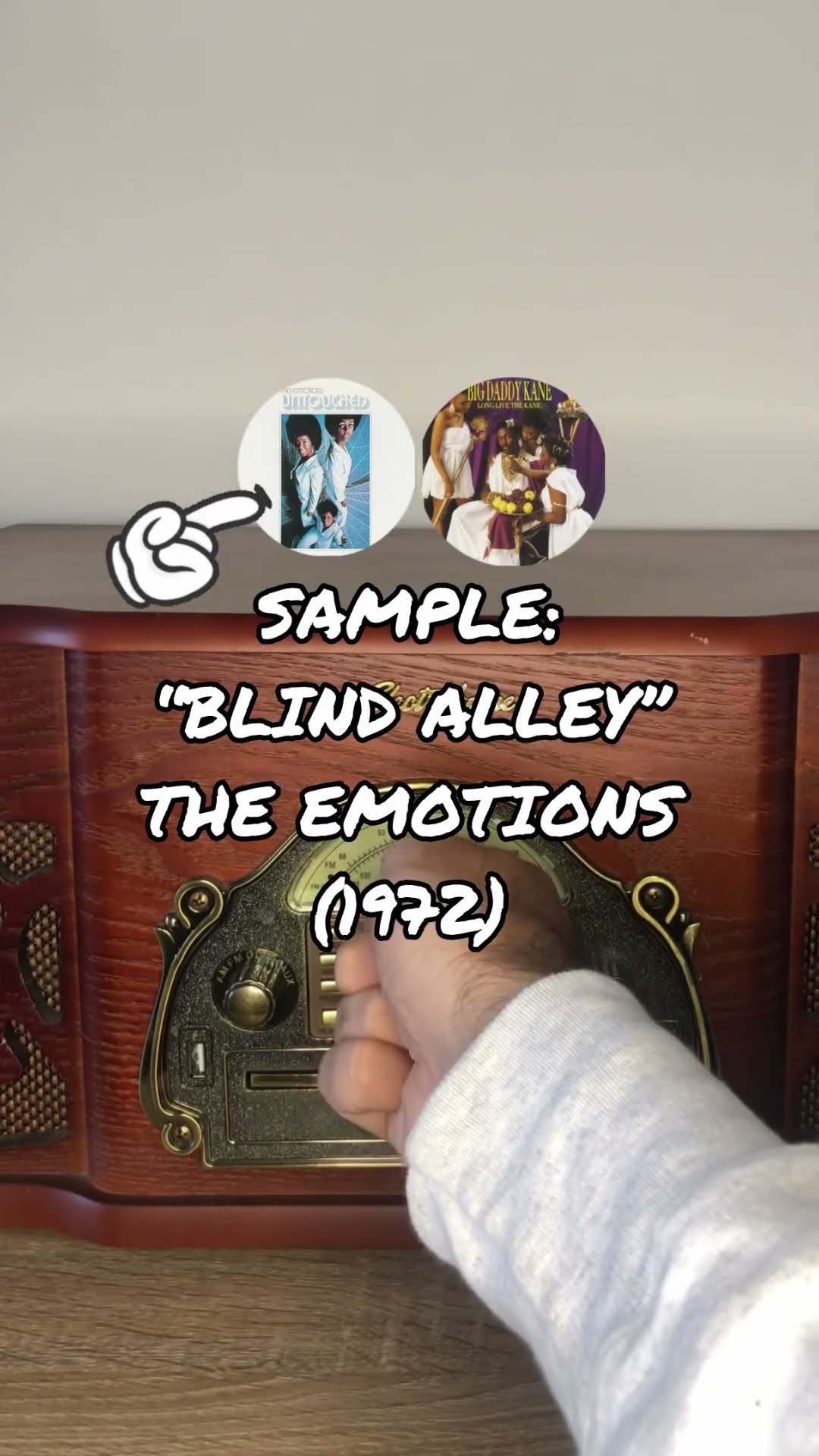 The Emotions / Big Daddy Kane – Blind Alley (Altered Tapes