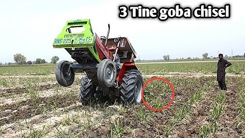 Mf 375 with 3 tine Gobha chisel very powerful performance and showing stunts 💪💪