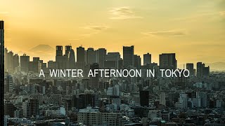 A Winter Afternoon in Tokyo