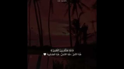 (فما ظنكم برب العالمين) تلاوة خاشعه وهادئة ارح قلبك وعقلك🤲🏻🙂♥️