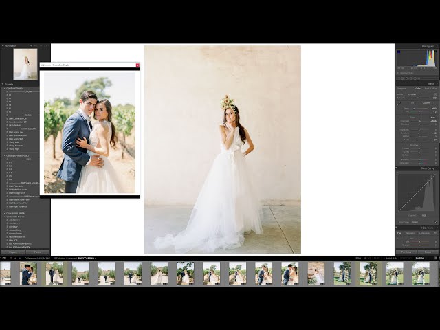 Editing as a Hybrid Photographer with Goodlight Presets - Matching Film class=