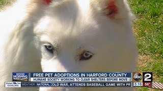 Free pet adoptions in Harford County