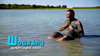 Удивительное озеро ШОШКАЛЫ / ВКО / Лечебная грязь / Артемия салина