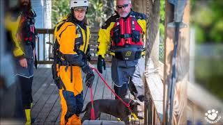 Hurricane Florence Code 3 ASAR Rescue Ranch story