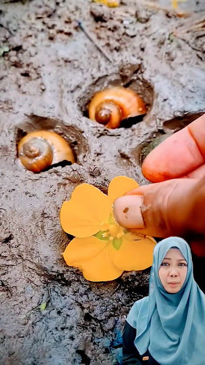 BAIK BAIK DI SURGA YA ⁉️