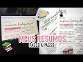 COMO EU FAÇO MEU RESUMOS DIGITADOS | PASSO A PASSO