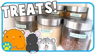 Hamster Mouse Treat Collection Organise With Me