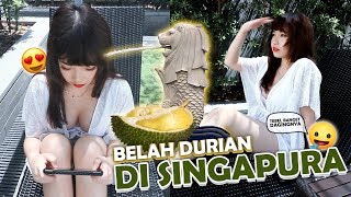 Belah Durian Di Singapura Bijinya Tipis Dagingnya Tebal Rasanya Nikmat