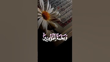وننزل من القرآن ماهوا شفاء ورحمة للمؤمنين.                                   القارئ: أحمد العجمي