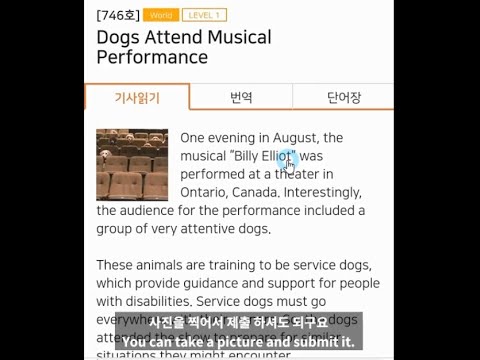 영어자막편집 쌤플영상