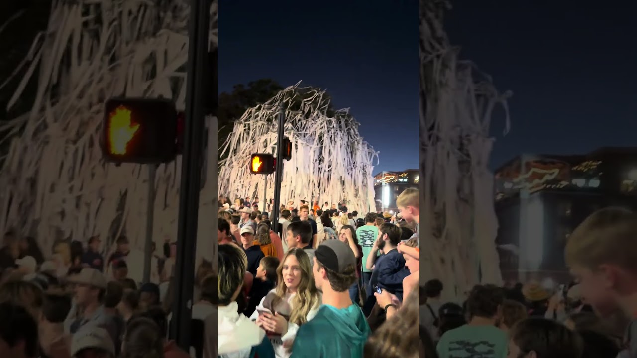 Auburn beat Georgia. I went to Toomer’s. Long version.