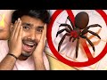 If you dont like spiders dont watch