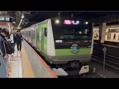 【加工品】E233系 7000番台 ハエ117編成 ラッピング車 hqdefault.jpg