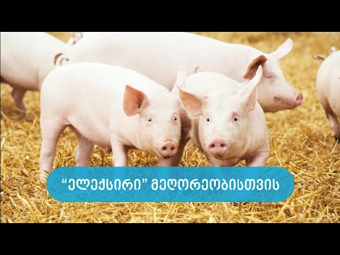 ელექსირი მეღორეობისთვის