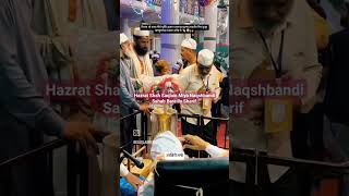 Hazrat Shah Saqlain Miya Naqshbandi Sb Bareilly Sharif islamicvideo viral explore bareilly