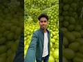 aaj main a Gaya Hun angur world mein #grapes 🍇#world