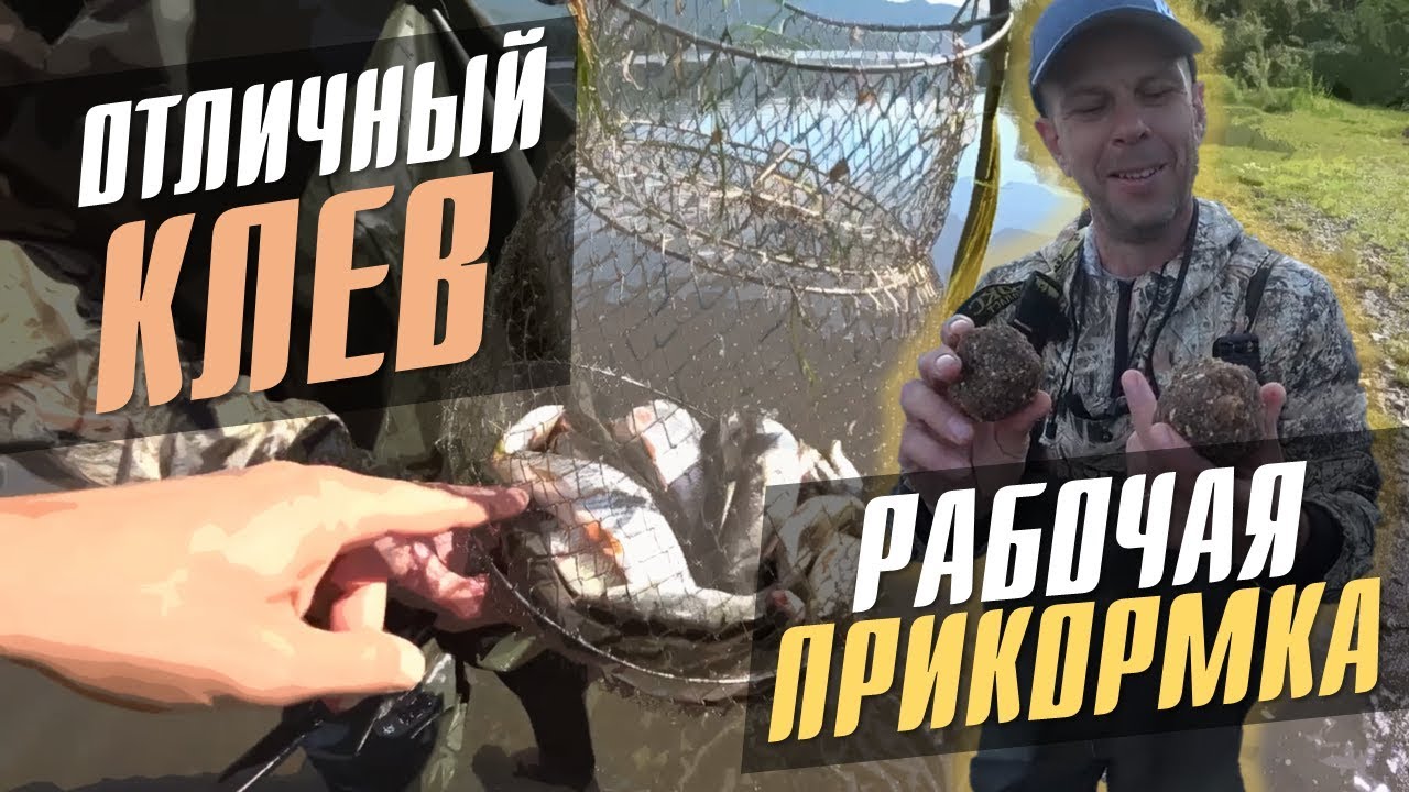 Рыбалка на ельца / Прикормка своими руками / Утренний клев