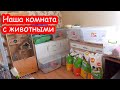 VLOG Наша комната с животными