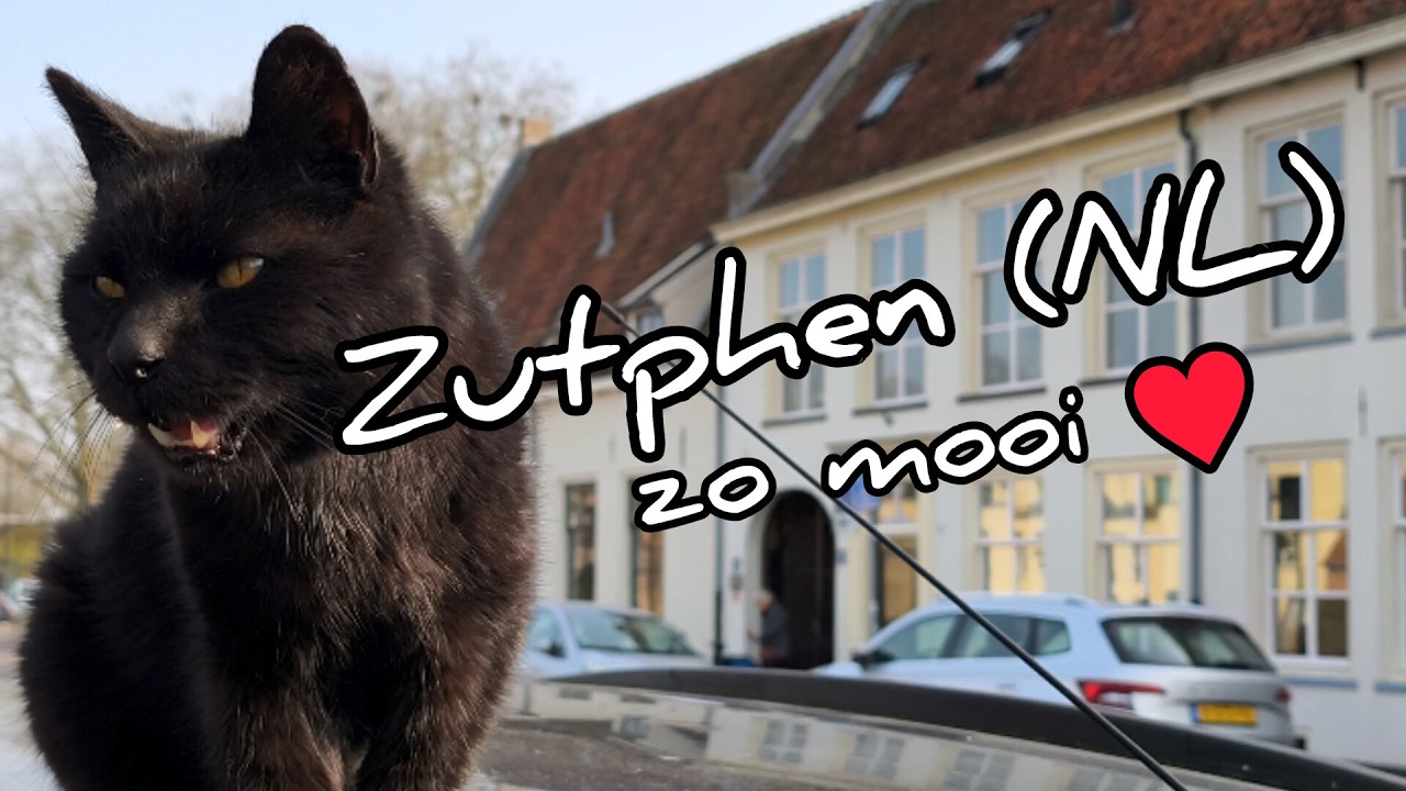 Zutphen (NL) 2026 ... zo mooi !