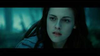 Twilight in 5 Seconds