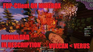MINEBOX Swindling WITH FDP CLIENT | FREE Client