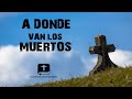 a donde van los muertos