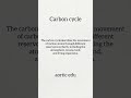 Carbon Cycle #biology #explorephysics #scienceexplained #chemistrypage #biologychemistry #biology