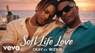 CKay ft. Wizkid - Soft Life Love (Official Lyrics Video) screenshot 4