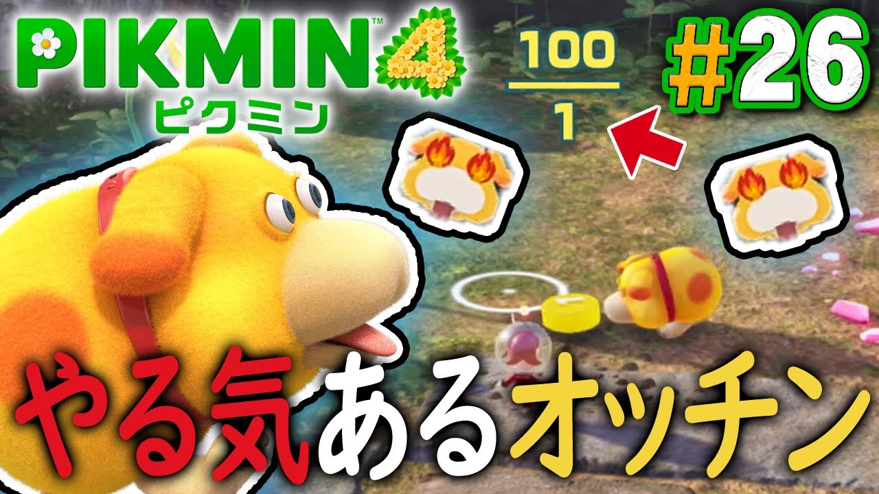 オッチンが特訓でめちゃ強くなってしまった『ピクミン4』を実況プレイ part26【PIKMIN4】