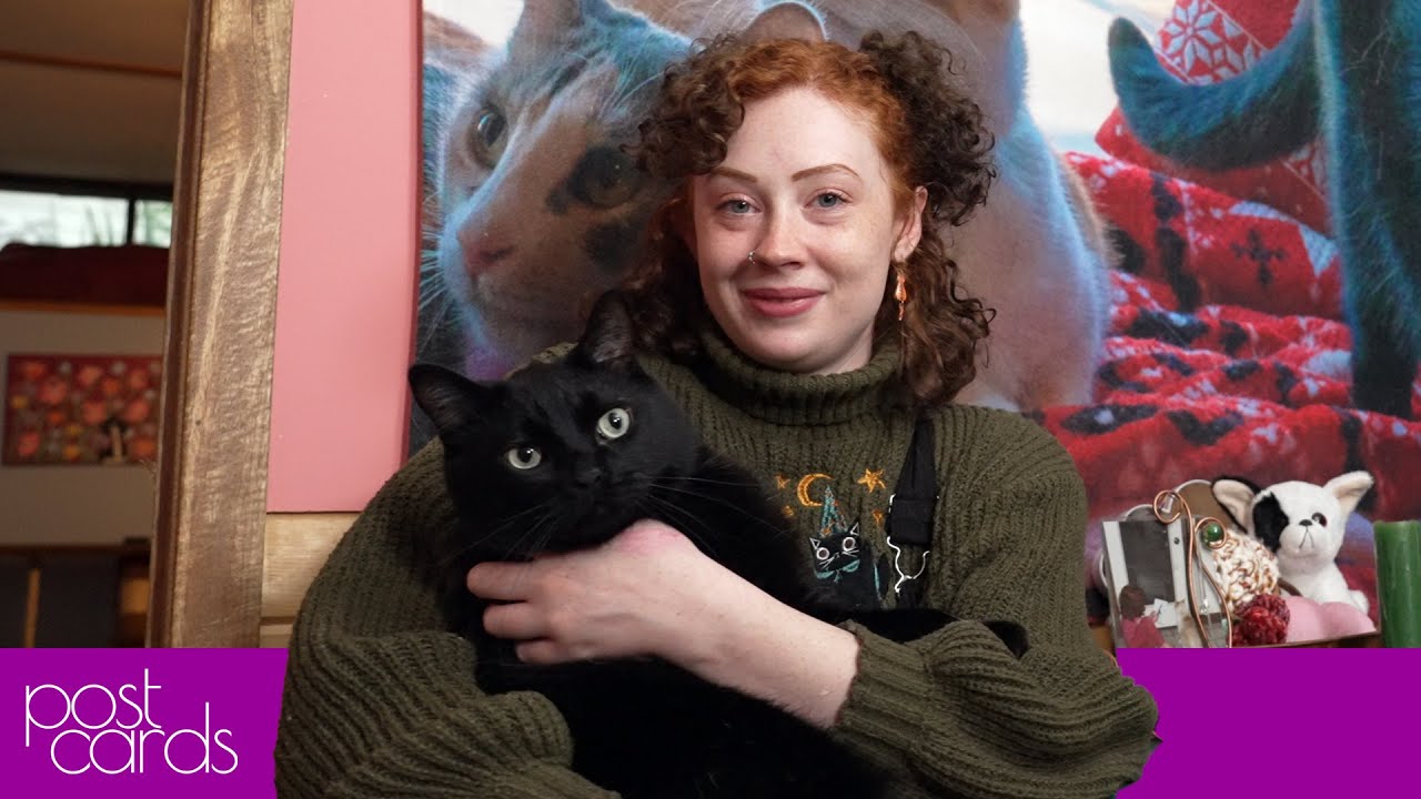 How 11 Cats Shape Her Creative Expression | Janel Guertin