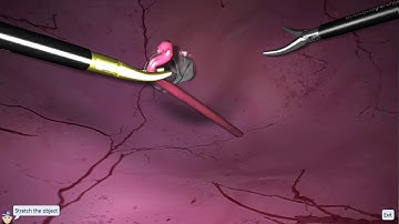 Basic Skills_2018: Grasping