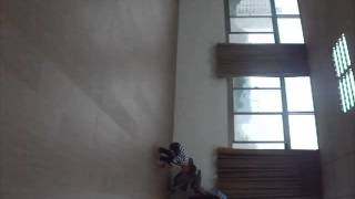 DSCF4595