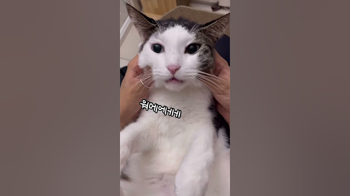 가나다랴!므아 그만해!! 내가 왜..