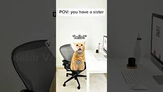 POV: Having a sister is an absolute cheat code 🥺🍔 || #shorts #shortvideo #youtube #youtubeshorts