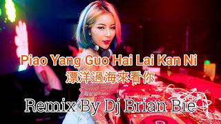 Piao Yang Guo Hai Lai Kan Ni - 漂洋過海來看你 (Electro Manyao) By Dj Brian Bie #manyao #manyaoremix #dj