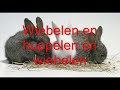 Konijntje wiebelen