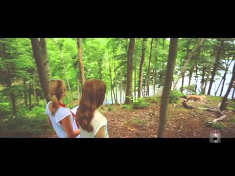 767 King St, Chappaqua, NY home video tour