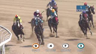 20210501 Wuhan Class 4 to 5 (55-35) 1700m (Race 1) 武汉速度赛马公开赛D4 第1场 四/五班(55-35)1700米