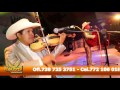 HALCON HUASTECO (OFICIAL )BAILE DE LOS VIEJITOS. cel 7721060186