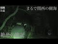 【心霊】まるで関西の樹海 怪奇現象勃発 絶恐の検証 わかってしまいました。【Japanese Horror】【視聴注意】