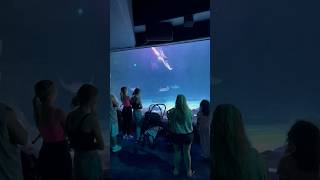 Magical mermaid underwater flip in aquarium with stingrays and sharks! #underthesea