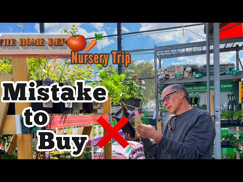 NEW Prices at Home Depot Nursery Garden Trip BE AWARE on Vegetable Plants & Flowers Tomatoes Peppers