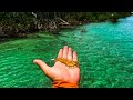 Fishing With Live Shrimp in Tropical Blue Water