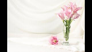 Funeral Service - Marcy Myers  -  October 2nd, 2023