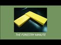 Using wedges to fell trees