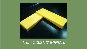 Using wedges to fell trees