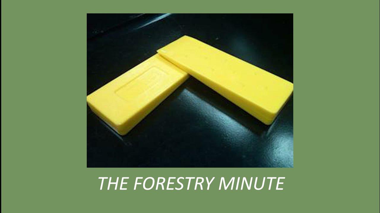 Using wedges to fell trees YouTube