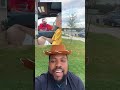 Gade Koman Yon Fanmiy Gen Funny Ladann ЁЯдн Fanmily Funny Viral Gade Koman Yon Fanmiy Gen Funny Ladann ЁЯдн Fanmily Funny Viral