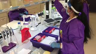 Immunovia, Inc. Clinical Laboratory Tour screenshot 3