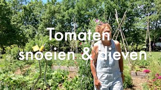Ini's Moestuin #103 Juni: hoe kweek je de allerbeste tomaten? Physalis uitplanten in potten.
